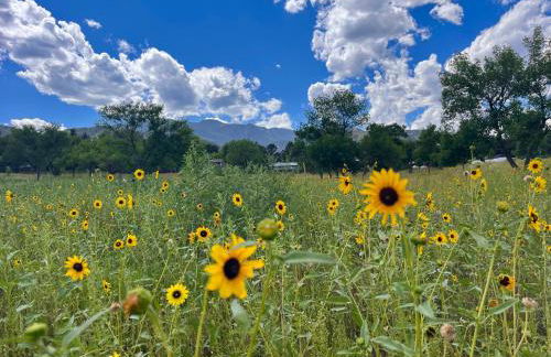 Celestial Casita - Foto 21