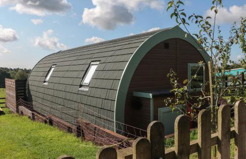 Belles View - Foto 20