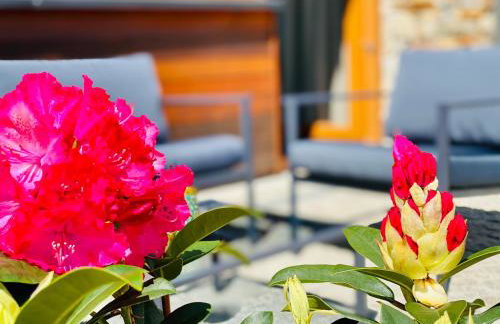 Apartamenty Piwniczna - Foto 22