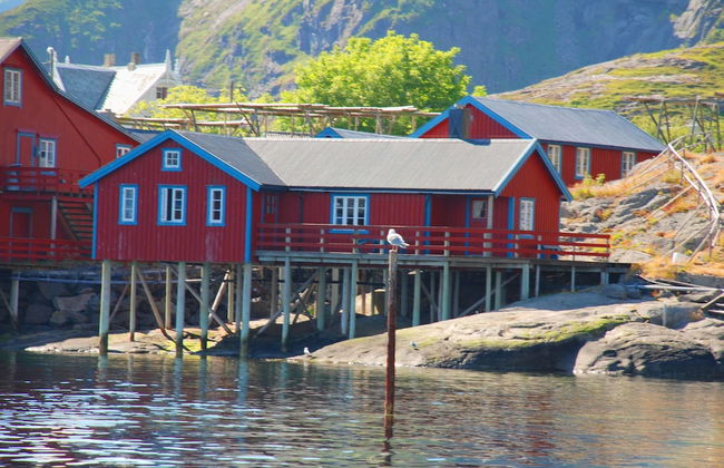 Å Rorbuer - by Classic Norway Hotels - Photo 15