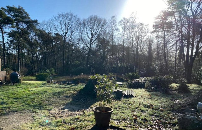 Holiday Home in Holten Near Lake Ijssel - Foto 24