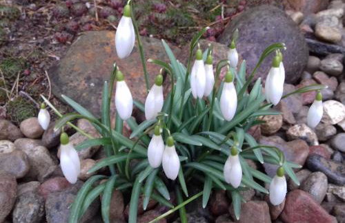 Dom na wsi nr 5 - Foto 17