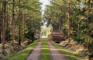 East Frisian Moorland House On The Fehn Route - Foto 26