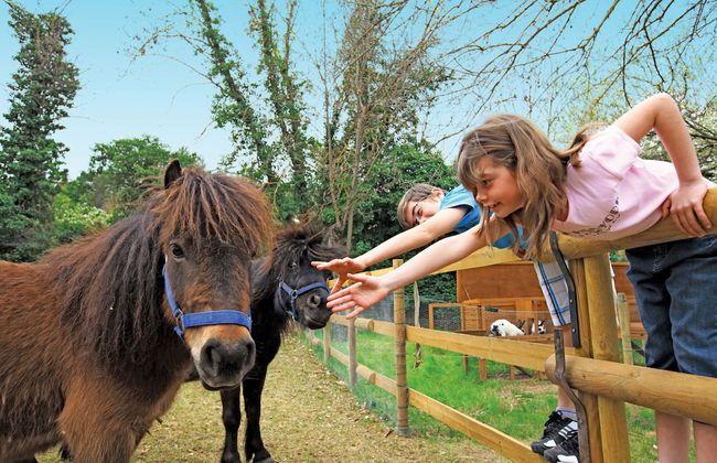 Club Vacances Bleues Domaine de Château Laval - Photo 50