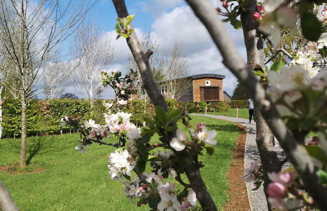 Tranquil Stay in Vielsalm - Photo 32