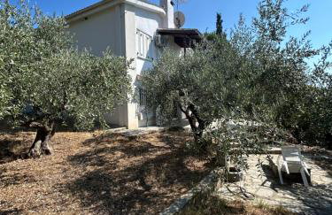 Villa Helga by the Sea - Photo 10