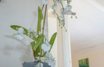 The Old Chapel - Foto 8