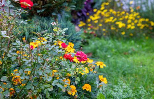 Ferienwohnung Fernsicht - Foto 35