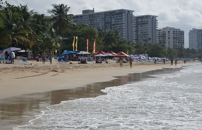 Mare 1660 - Photo 65