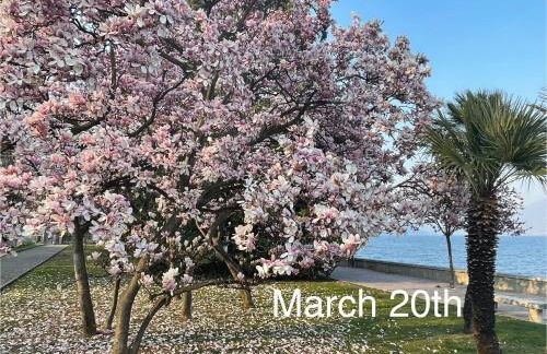 Residenza Victoria - Foto 65