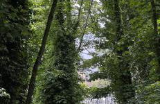 Cozy 4-bed Cottage Garden Walk to River Thames - Foto 36