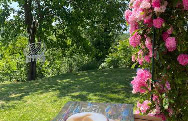 Villa La Vinella with heated pool - Foto 51