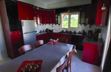 Platanidia Apartment Pelion - Foto 49