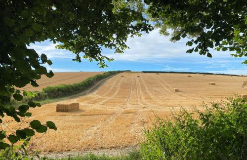 Bramble Bank - Foto 40