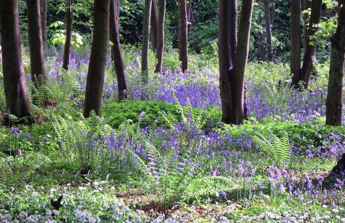 Finest Retreats - Ingleby Manor - Manor Cottage - Photo 15