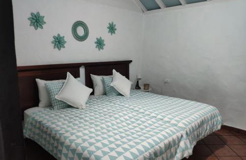 Finca Lomo Grande - Foto 35