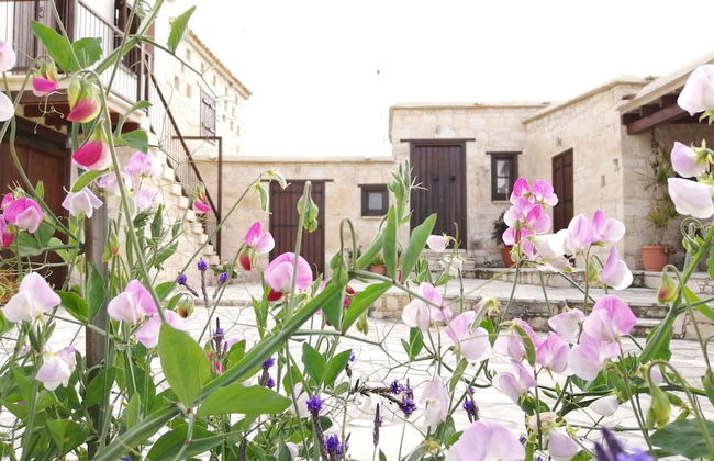 Olympia Traditional Houses - Foto 44