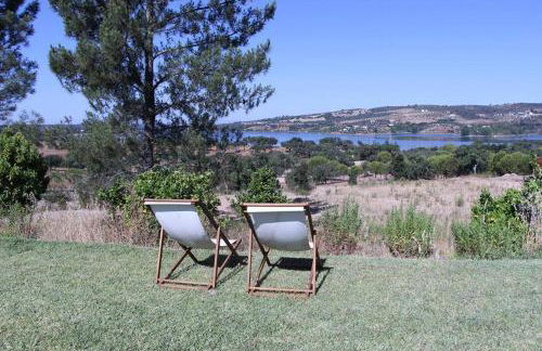 Monte da Tojeirinha - Foto 29