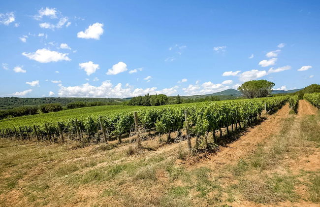 Farmhouse in Montescudaio with Shared Pool near Sea & Park - Foto 44