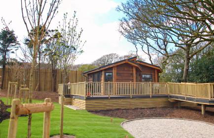 The Shrubbery Treehouse Park Facilities - Photo 12