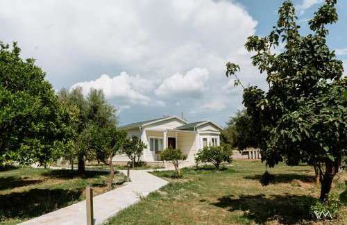 Oikies Verde - Foto 51