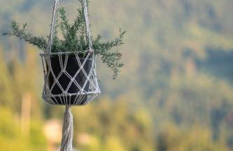 Aelion Escape - Foto 75