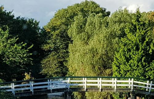 Johannes Hof - Foto 35