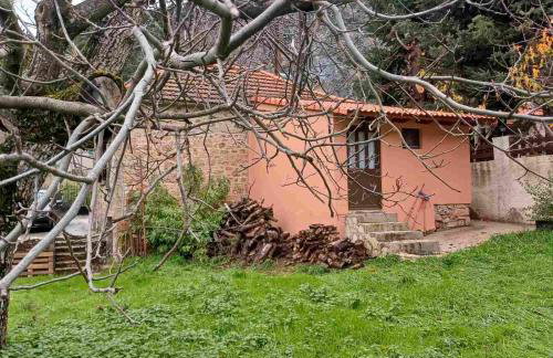 Vrachni Stone House - Foto 14