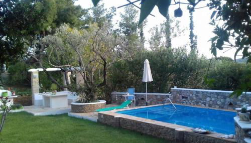 Granatapfel - Foto 1