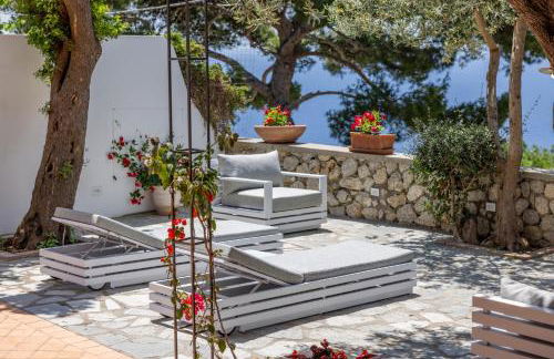 Oliveto Capri apartments - Foto 10