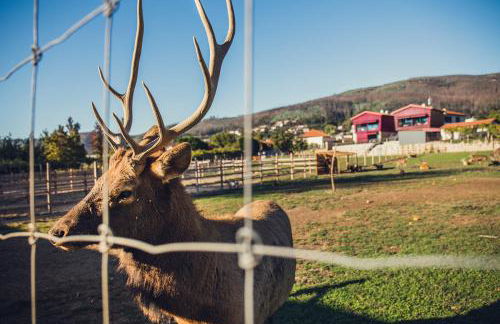 Quintãs Farm Houses - Foto 32