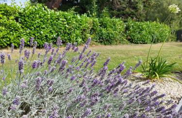 Cadre Verdoyant et Plage à Pied - Foto 20