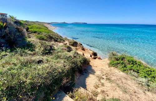 Alba Rossa - Foto 51