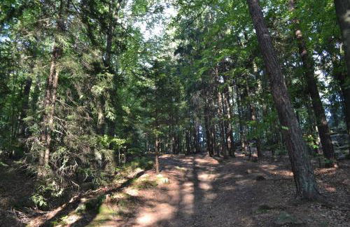 Blockhaus Hedwig - Photo 61