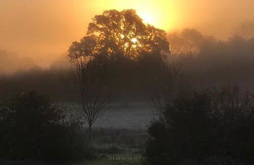 Rural farm stay with stunning indoor pool - Foto 17