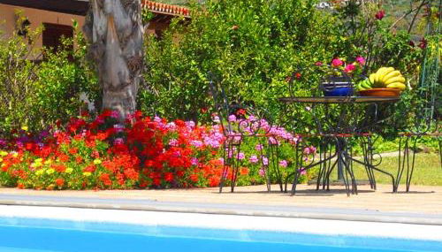 Elegant Apartment in San Cristóbal de La Laguna with Pool – 35 m² - Foto 2