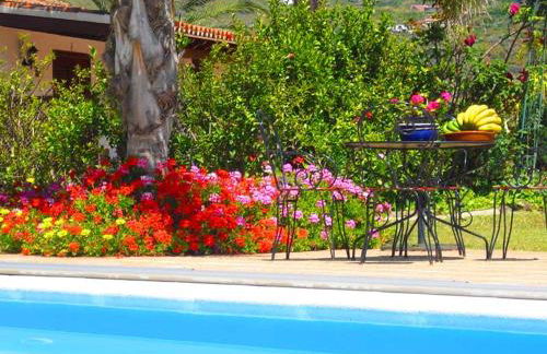 Elegant Apartment in San Cristóbal de La Laguna with Pool – 35 m² - Foto 2