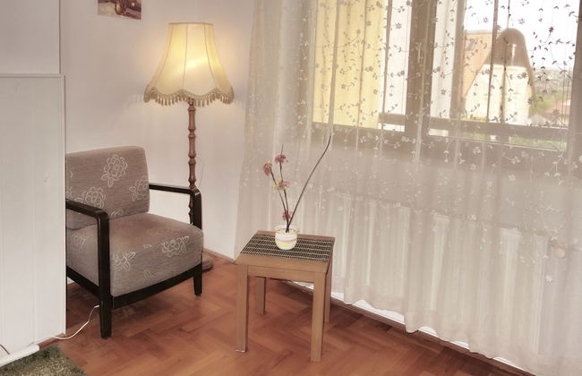 Tolena Heviz Apartments - Foto 6