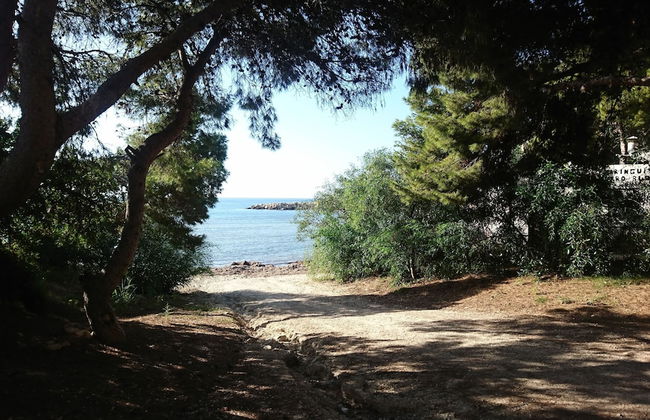 Guesthouse -El campello-Alacant - Foto 1