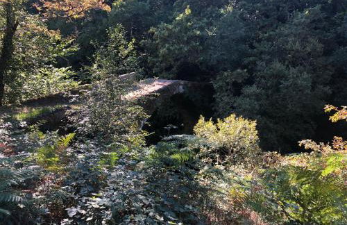 Rectoral de Fofe - Foto 94