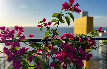 Studio Premium com Rooftop e Piscina com vista para a Baia de Todos os Santos, Portaria 24 Hr, Estacionamento, Wi-fi rápido 433Mpbs, Cozinha Compacta, Localização privilegiada próximo à praia e ao Farol da Barra - Foto 28