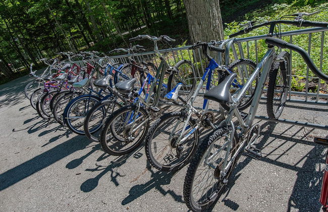 The Rushes - Foto 33