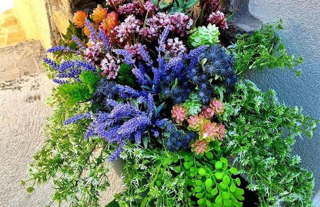 Apartments Villa Santa Maria Hvar With Jacuzzi - Foto 48