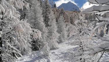 PUY SAINT VINCENT APPARTEMENT T2 BALCON SUPER PANORAMA AVEC PARKING PRIVE COUVERT et PISCINE L'ETE - Foto 3