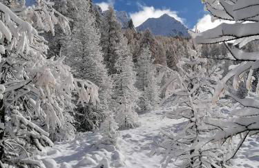 PUY SAINT VINCENT APPARTEMENT T2 BALCON SUPER PANORAMA AVEC PARKING PRIVE COUVERT et PISCINE L'ETE - Foto 3