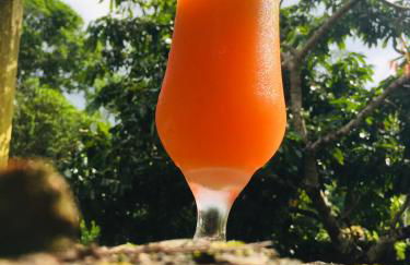 Rancho Caiçara - Photo 48