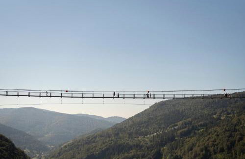 Schwarzwaldglück Loft - Foto 16