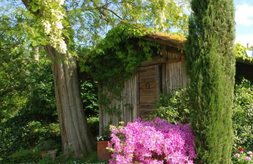 Appartamento con patio privato e giardino tra Pisa e Firenze - Foto 27