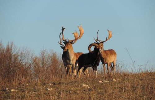 La Bastide du Père Marius - Foto 21