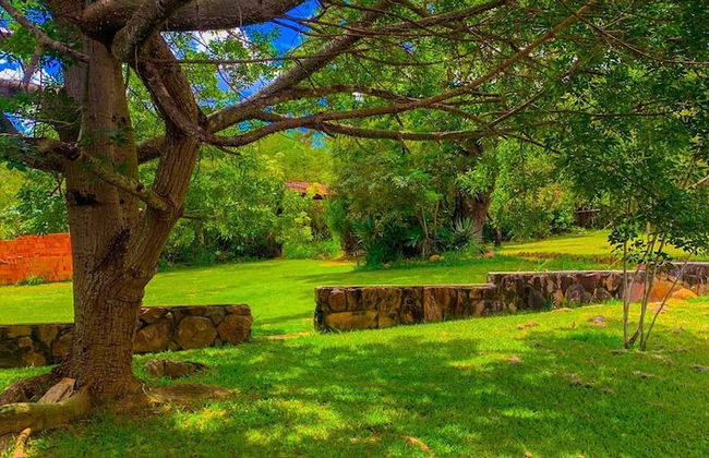 Pousada Chapada dos Veadeiros - Foto 65